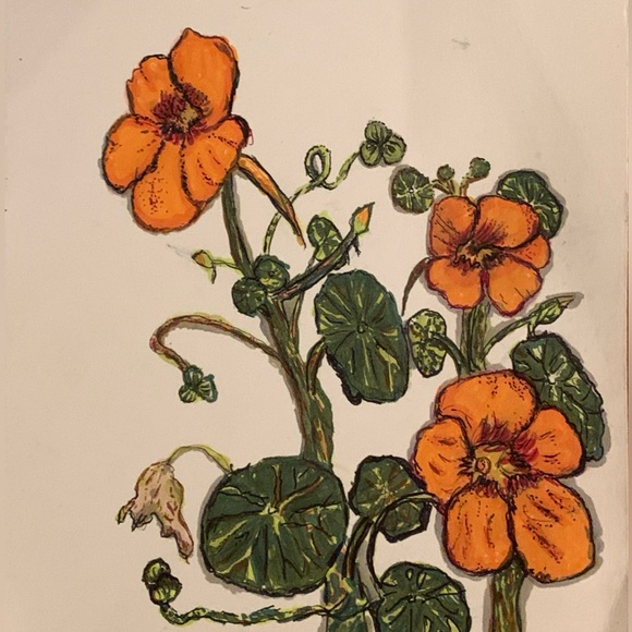 I’m Hannah! Check out my closet 🍒 - Picture 3 of 3